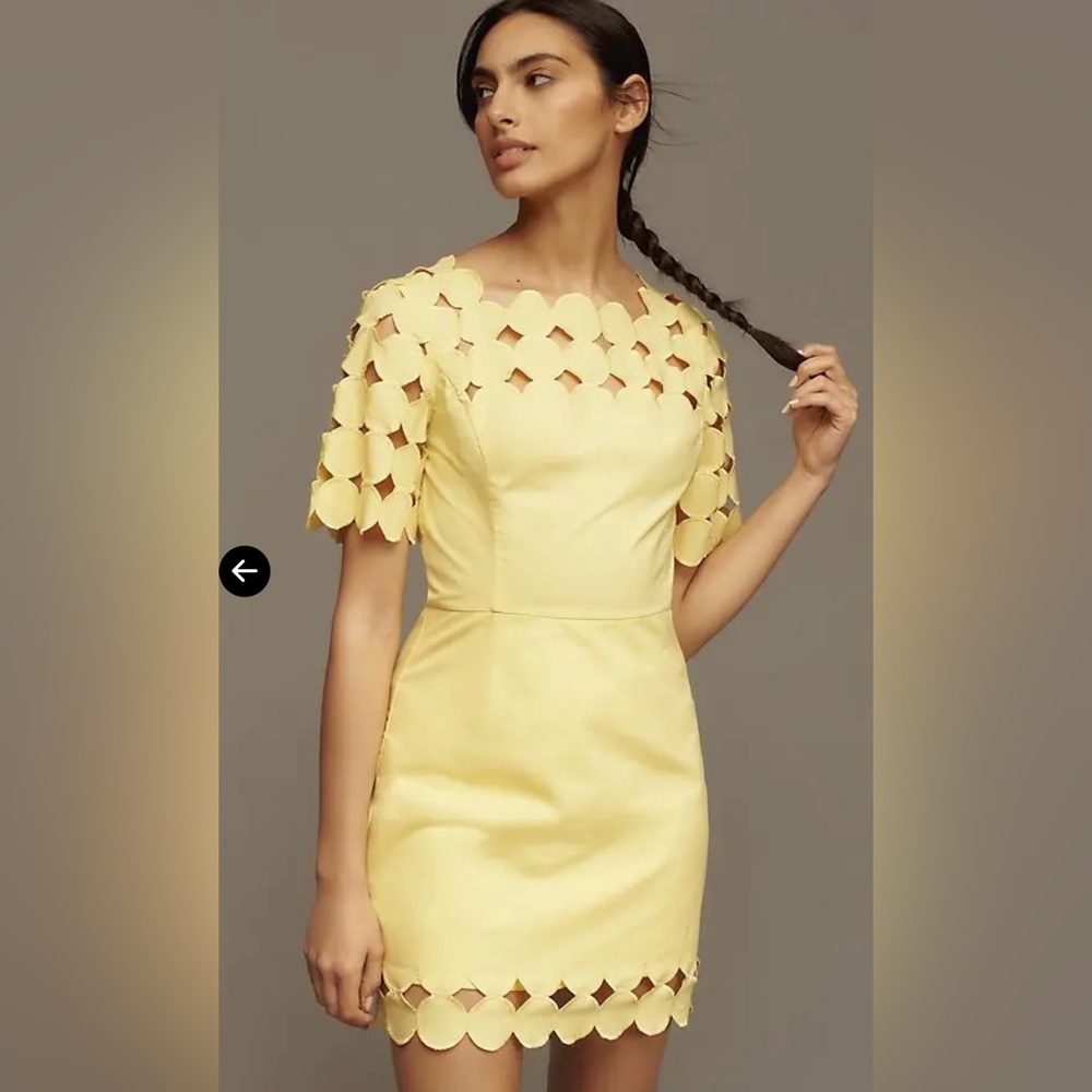 NWOT size 14 Anthropologie Cutwork Mini dress